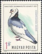 Hungary 1969 International Pigeon Exhibition/ Birds/ Nature/ Sports/ Pets 1v (n45490)