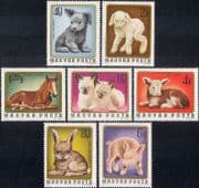 Hungary 1974 Animals/ Nature/ Cats/ Dog/ Horse/ Rabbit/ Pig/ Lamb/ Cow 7v set (n21762)
