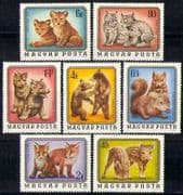 Hungary 1976 Animals / Nature / Wildlife / Lion 7v set n28479