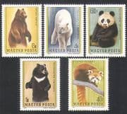 Hungary 1977 Bears / Pandas / Polar / Animals / Nature / Wildlife 5v set (n35781)