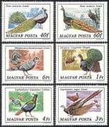 Hungary 1977 Peacock / Pheasant / Birds / Nature / Peafowl / Wildlife 6v set (n39860)