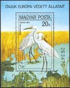 Hungary 1980 Great Egrets/ Protected Birds/ Conservation/ Environment/ Nature 1v m/s (b2512)