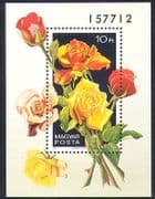 Hungary 1982 Flowers / Roses / Plants / Nature / Horticulture 1v m/s (s1127)