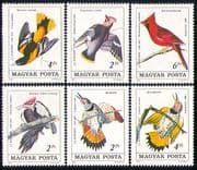 Hungary 1985 Woodpecker/ Waxwing/ Oriole/ Cardinal/ Birds/ Nature/ Audubon/ Art 6v set (n29400)