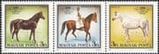 Hungary 1989 Babolina Stud Farm/ Horses/ Animals/ Nature/ Transport/ Sport/ Uniforms 3v strip (b6158)