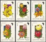 Hungary 1990 African Flowers/ Protea/ Plants/ Nature/ Conservation 6v set (n21947)
