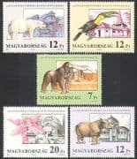 Hungary 1991 Polar Bear / Gorilla / Rhino / Toucan / Orchid / Animals / Nature 5v set n34969