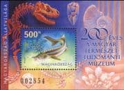 Hungary 2002 Sterlet/ Fish/ Fishing/ Nature/ Animals/ Wildlife/ Sturgeon/ Conservation/ Environment 1v m/s (n45274)