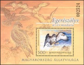 Hungary 2012 Common Buzzard/ Birds/ Raptors/ Nature/ Wildlife/ Conservation 1v m/s (n45147)