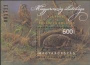 Hungary 2013 Hedgehog /Owl/ Nature/ Wildlife/ Animals/ Birds/ Conservation/ Environment 1v m/s (n45394)
