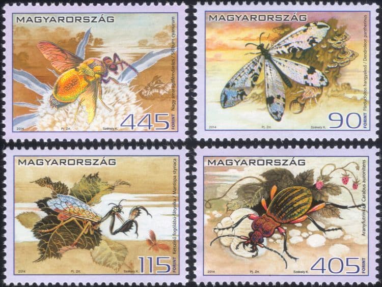 Hungarian Insect Hungary 2014 Insects/ Beetles/ Flies/ Nature/ Conservation/ Environment ...