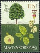 Hungary 2016 Elm/Trees/Nature/Flowers/Fruit/Horticulture/Conservation/Environment 1v n45207