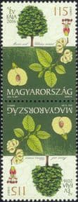 Hungary 2016 Elm/ Trees/ Plants/ Nature/ Flowers/ Fruit/ Horticulture/ Conservation/ Environment tete-beche pair (t-b pr) (n45207)
