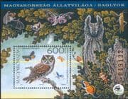 Hungary 2017 Scops Owl/ Owls/ Birds/ Raptors/ Nature/ Conservation 1v m/s (hx1029)
