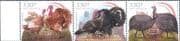 Hungary 2024 Poultry/ Turkeys/ Guinea Fowl/ Birds/ Nature/ Farming 3v set (hx1330)