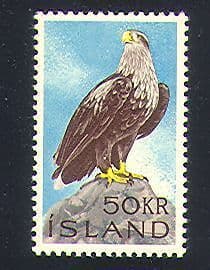 Iceland 1966 Birds  /  Raptors  /  Nature  /  Wildlife  /  Sea Eagle 1v (n32707)