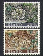 Iceland 1967 Birds / Nests / Eggs / Wildlife / Nature / Charity Fund 2v set (n36686)