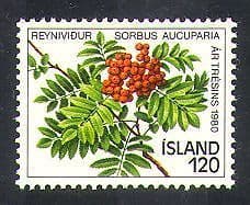 Iceland 1980 Trees  /  Berries  /  Fruit  /  Plants  /  Nature  /  Environment 1v (n38175)