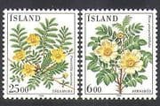 Iceland 1984 Rose / Flowers / Plants / Nature 2v set (n37572)