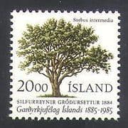 Iceland 1985 Horticultural Society/ Horticulture/ Trees/ Plants/ Nature 1v (n36265)