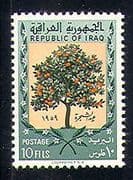 Iraq 1959 Nature / Orange Tree / AfforestationTrees / Environment 1v (n30073)