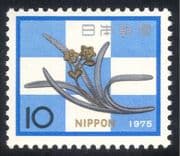 Japan 1975 New Year Greetings/ Daffodil/ Flower/ Kugikakushi 1v (n25366)