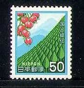 Japan 1980 Afforestation / Trees / Cedars / Nature 1v n27746