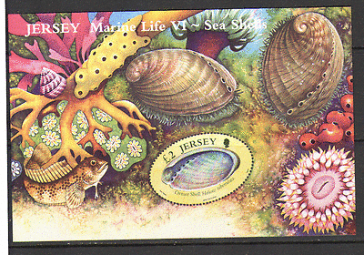 Jersey 2006 SHELLS / Marine / Nature / Sea life 1v m / s n15775