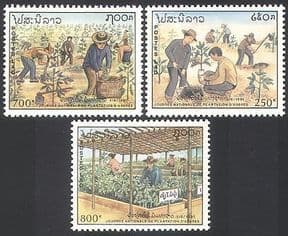 Laos 1991 Trees  /  Planting  /  Nature  /  Conservation  /  Environment 3v set (n21146)