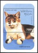 Laos 1995 Domestic Cats/ Pets/ Animals/ Nature 1v m/s (b8128)