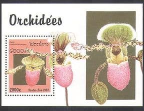 Laos 1997 Orchids  /  Flowers  /  Plants  /  Nature  /  Orchid 1v m  /  s (n38022)