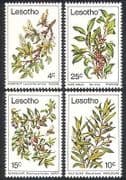Lesotho 1979 Trees / Flowers / Plants / Nature 4v set n25036