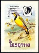 Lesotho 1982 Birds / Bokmakierie / Tree / Nature Postcard a91
