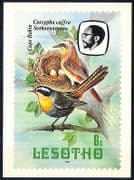 Lesotho 1982 Birds / Cape Robin / Trees / Nature Postcard a85