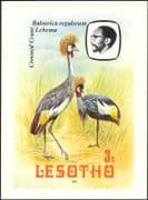 Lesotho 1982 Birds/ Crowned Crane/ Cranes/ Nature Postcard (a96)