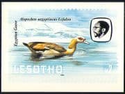 Lesotho 1982 Birds / Egyptian Goose / Nature Postcard (a92)