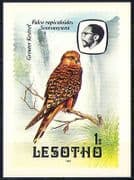 Lesotho 1982 Birds / Kestrel / Waterfall Postcard (a83)