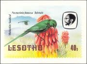 Lesotho 1982 Birds/ Malachite Sunbird/ Flowers/ Nature Postcard (a94)