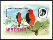 Lesotho 1982 Birds / Red Bishop / Trees / Nature Postcard a93
