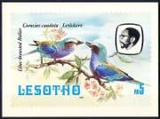 Lesotho 1982 Birds / Roller / Blossom / Nature Postcard (a87)