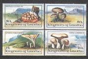 Lesotho 1983 Fungi / Mushrooms / Nature 4v set (b1283a)