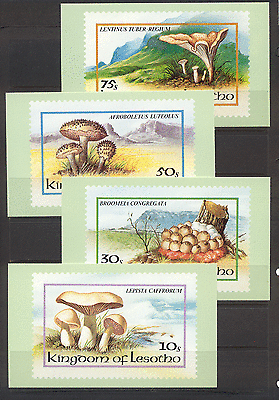 Lesotho 1983 FUNGI / Mushrooms postcards (4) (a8)