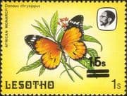 Lesotho 1984 Butterflies 15s on 1s surcharge MISREGISTER ERROR 1v (b2391m)