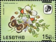 Lesotho 1984 Butterflies 15s on 3s misplaced surcharge ERROR/ Nature 1v (b3691b)