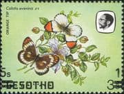 Lesotho 1984 Butterflies 15s on 3s misplaced surcharge ERROR/ Nature 1v (b3691j)