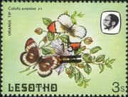 Lesotho 1984 Butterflies 15s on 3s misplaced surcharge ERROR/ Nature 1v (b3691m)