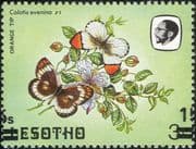Lesotho 1984 Butterflies 15s on 3s misplaced surcharge + reverse print ERROR 1v (b3691n)