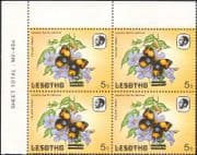 Lesotho 1984 Butterflies 15s on 5s misplaced surcharge ERROR 4v corner blk (b3691p)
