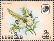 Lesotho 1984 Butterflies 9s on 60s DOUBLE surcharge ERROR/ Short Bars/ Nature 1v (b3691r)