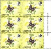 Lesotho 1984 Butterflies/ Butterfly/ Insects/ Nature/ 20s on 4s Surcharge/ FAINT print variety/ error 6 x 1v blk (b3690h)